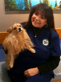 Anna | Green Briar Animal Hospital, Oklahoma City, OK